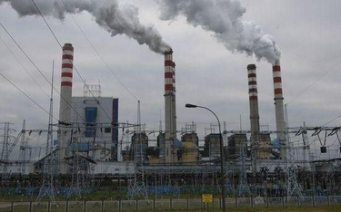 Elektrownia Adamów zapewniała ok. 2 Proc. mocy wszystkich siłowni zawodowych na węgiel