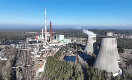 Największe spółki za wyłączeniem części elektrowni z opłat za emisję CO2