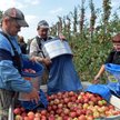 Średnia pensja nad Dnieprem wynosi dziś zaledwie około 600 zł. W Polsce Ukraińcy zarabiają przeciętn