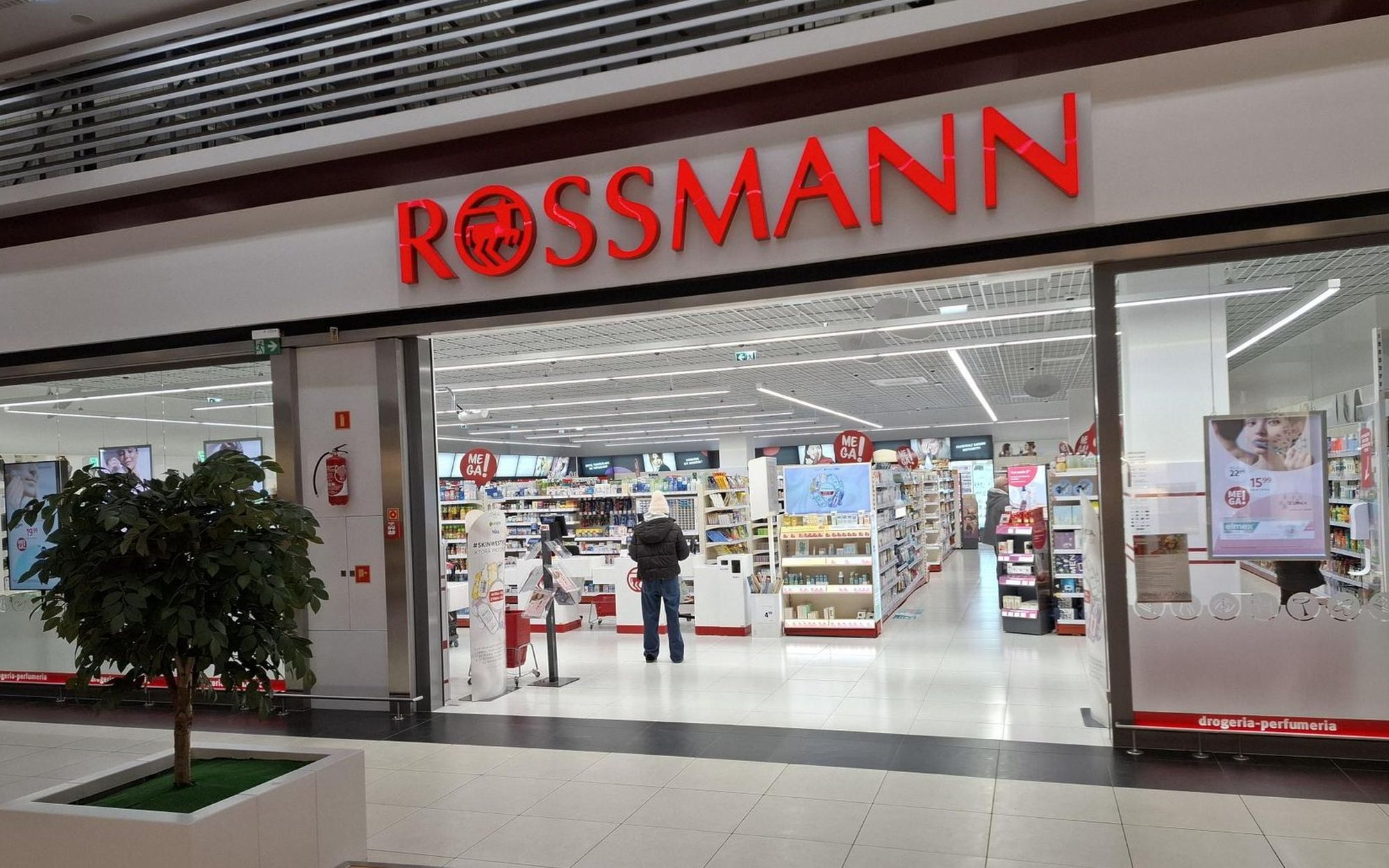 AfD dzieli przedsiębiorców. Rossmann opuszcza organizację branżową w ramach protestu