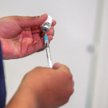 Komisja Europejska zatwierdziła szczepionkę Pfizer i BionTech
