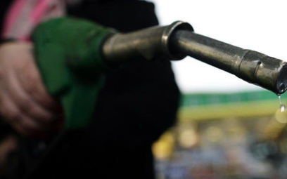 Biopaliwa mogą podnieść ceny benzyny w Polsce