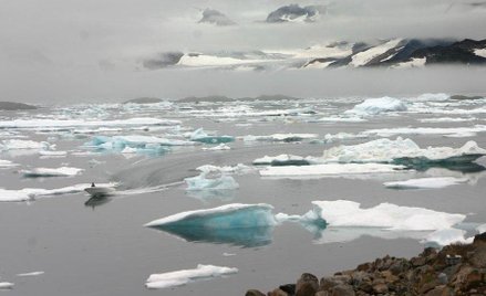 Arktyka nowym regionem konfliktów surowcowych