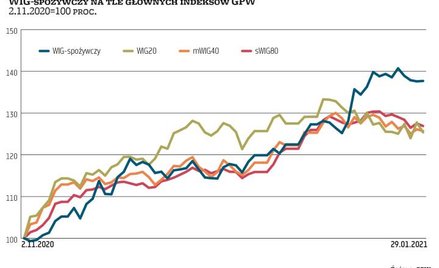 Spółki z WIG-spożywczy pod lupą