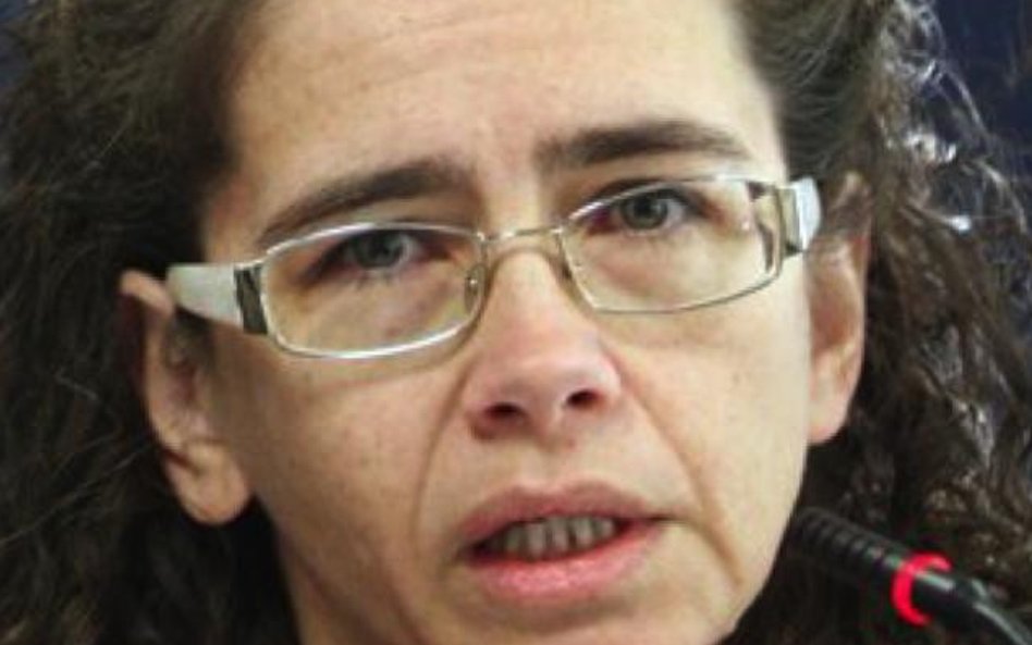 Anna Streżyńska, cyfryzacja