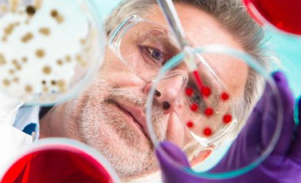 Naukowcy twierdzą, że laboratoryjny mózg nie myśli
