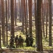 Członkowie Związku Strzelców Litewskich podczas szkolenia (fot. ilustracyjna)