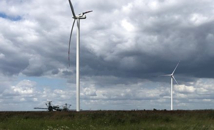 Farma wiatrowa Przykona należąca do Energi w pobliżu odkrywek ZE PAK - u