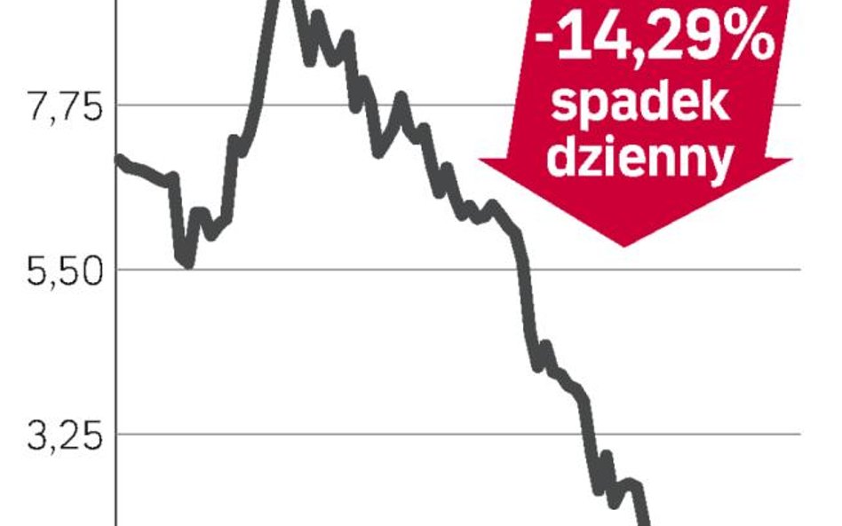 DSS – spółka, o której się mówi w Warszawie