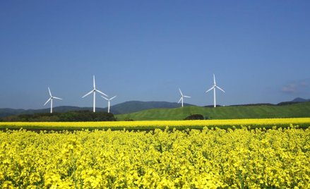Japończycy zaczynają ekologiczną produkcję wodoru