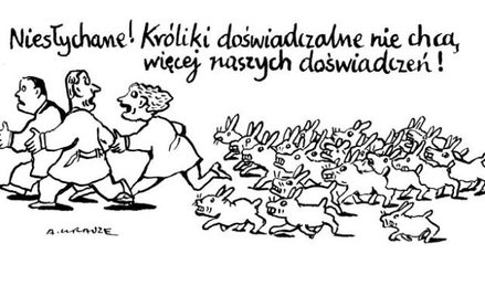 Komentarz rysunkowy. Bunt królików doświadczalnych