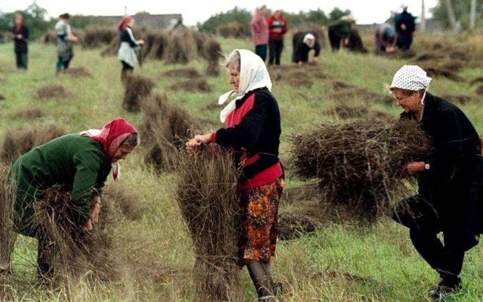 Chiński kołchoz za Bugiem