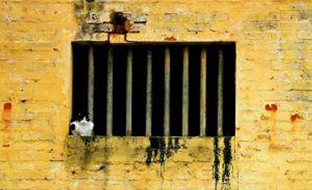 Uniewinnionego aresztowanego trzeba ponownie zatrudnić