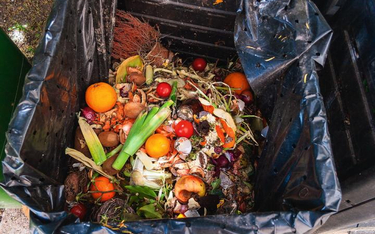 Throwing away food will contribute to a climate catastrophe