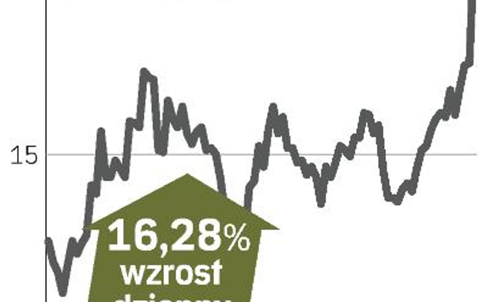 Temenos - fuzja reakcją na słaby popyt