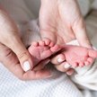 W odpowiedzi na głosy rodziców, resort pracy w połowie lutego powołał zespół, który ma za zadanie wy