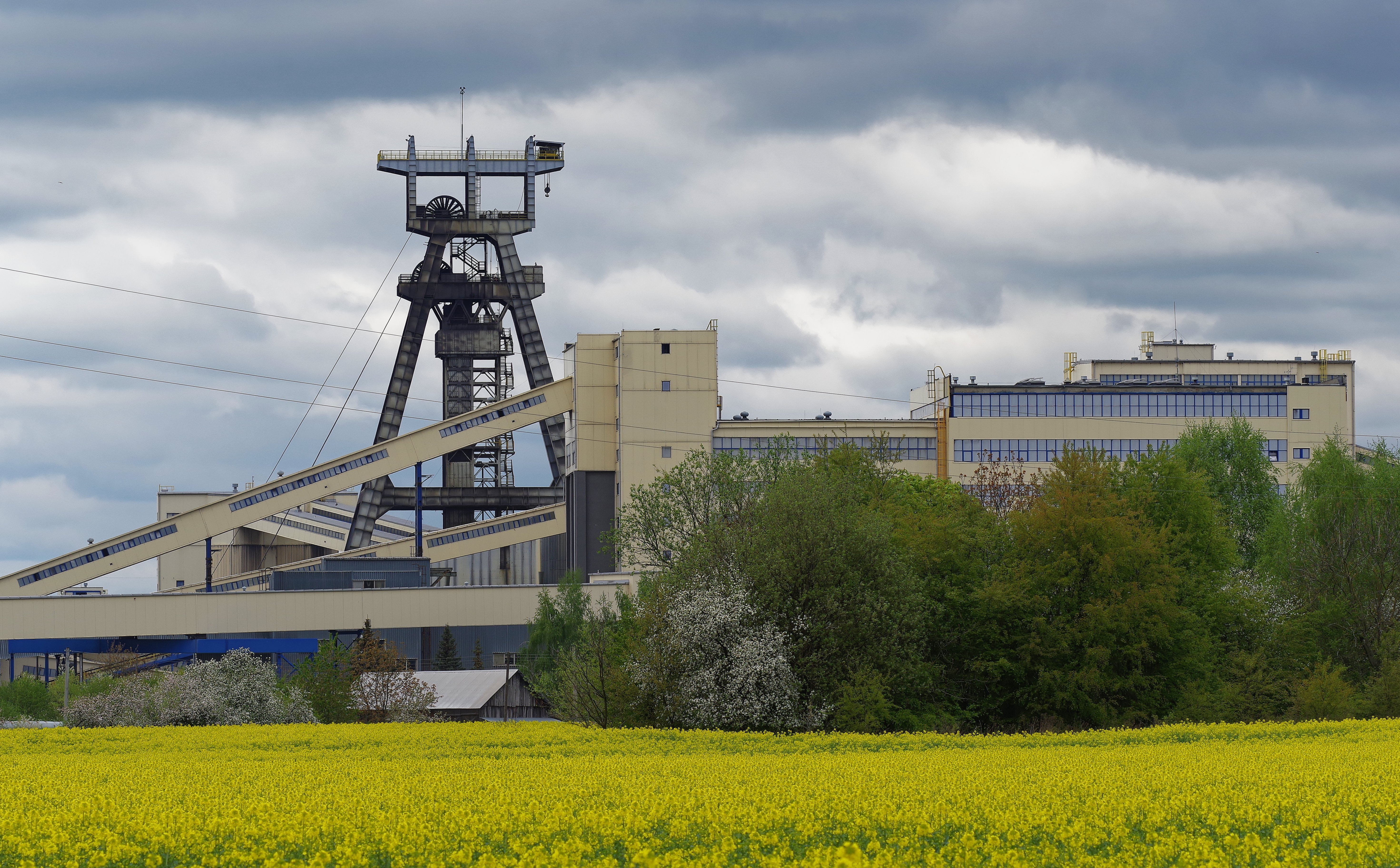 Bogdanka na plusie. Są wstępne, szacunkowe wyniki