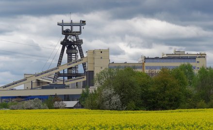 Bogdanka na plusie. Są wstępne, szacunkowe wyniki