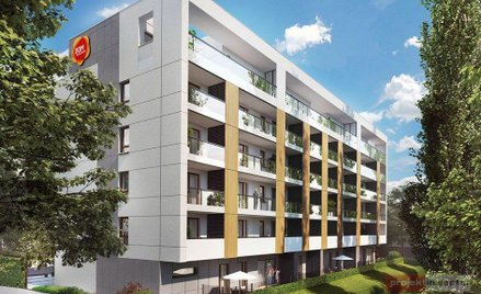 Dom Development kuty na cztery nogi