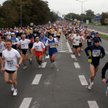 Maraton ulicami Poznania