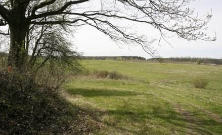 Umorzony proces nie przerwie zasiedzenia