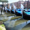 Są korzyści z epidemii: czysta woda w weneckich kanałach