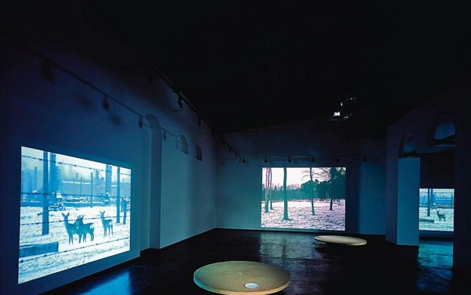 Mirosław Bałka, „Winterreise”, maj – czerwiec 2003,