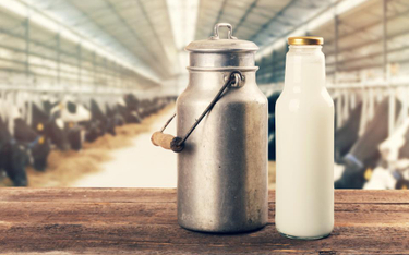 Raport UOKiK w sprawie branży mleczarskiej