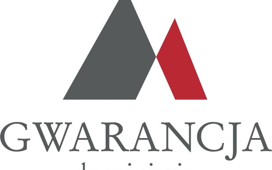 Ułatwienia w programie gwarancji de minimis