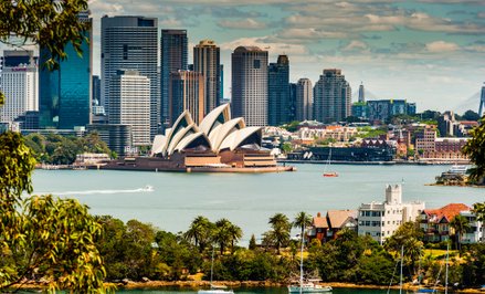 Australijscy urzędnicy uważają, że nowe prawo przyniosło szybkie i szerokie efekty