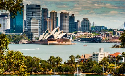 Australijscy urzędnicy uważają, że nowe prawo przyniosło szybkie i szerokie efekty