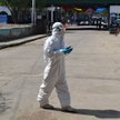 Tajemniczy arenawirus Chapare z Boliwii przenosi się między ludźmi