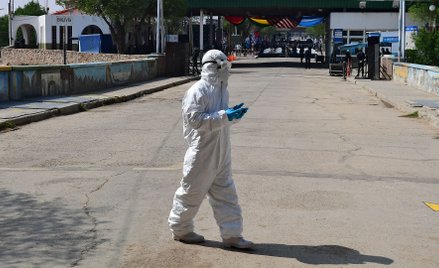 Tajemniczy arenawirus Chapare z Boliwii przenosi się między ludźmi