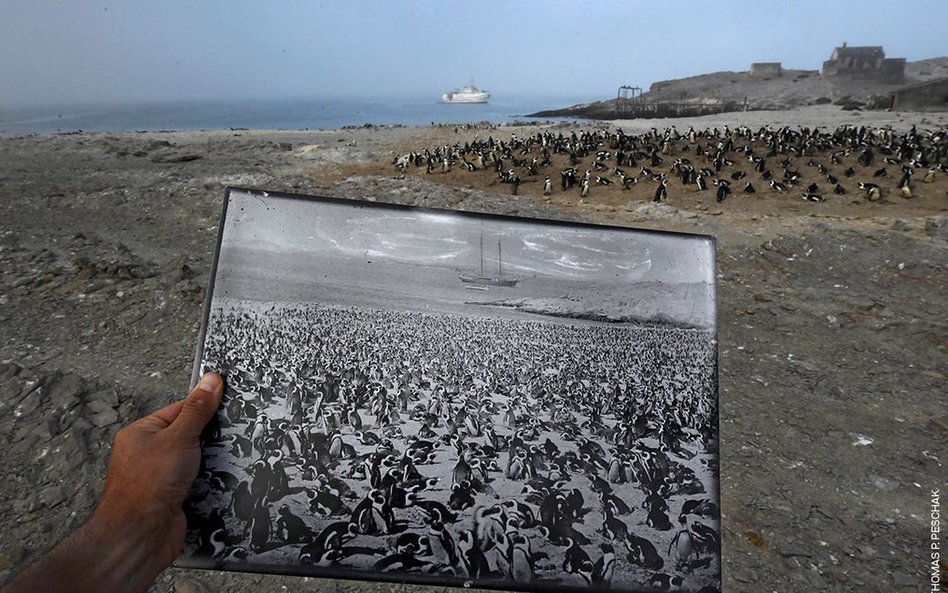 Thomas P. Peschak, "Back in Time"