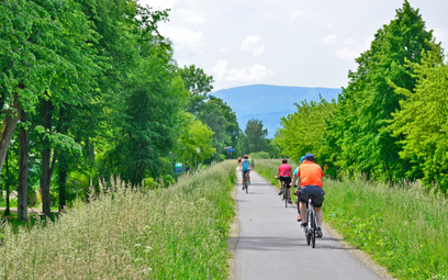 Odcinek szlaku rowerowego Velo Dunajec między Nowym Targiem a Nowym Sączem należy do najbardziej mal