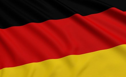 Niemcy: Przewodniczący Centralnej Rady Żydów ostrzega przed AfD