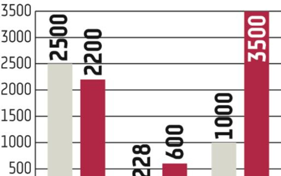 Inwestycje. Holendrzy mają problem z parkiem rozrywki