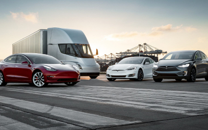 Tesla najniebezpieczniejszą spółką na Wall Street