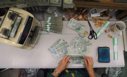 Parabanki wciąż kuszą