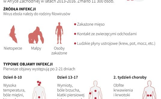 Wirus ebola