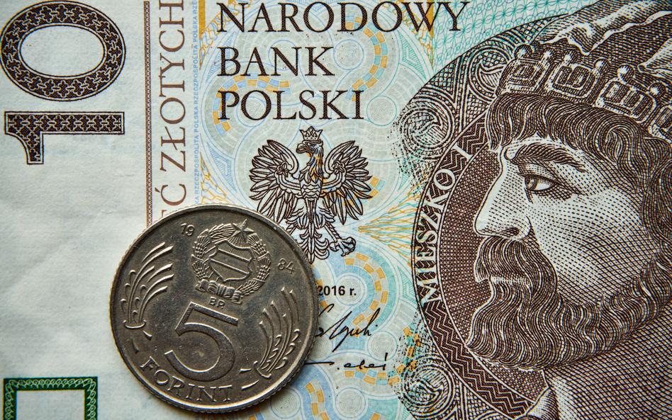 Dolar króluje, złoty i forint krwawią