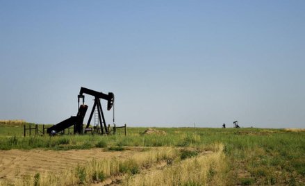 Ropa oddaje zyski po długiej serii wzrostów, OPEC zwiększył wydobycie w VI