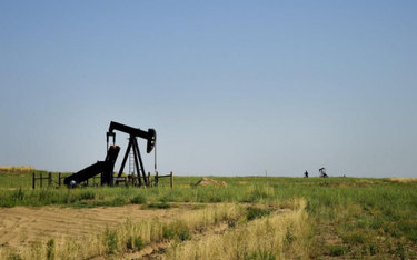 Ceny ropy w USA odbiły się, bo mocno spadły jej zapasy – o niemal 5,8 mln baryłek