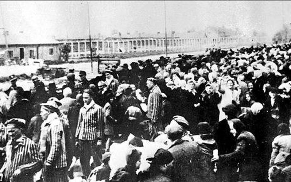 Komando Puff w Auschwitz
