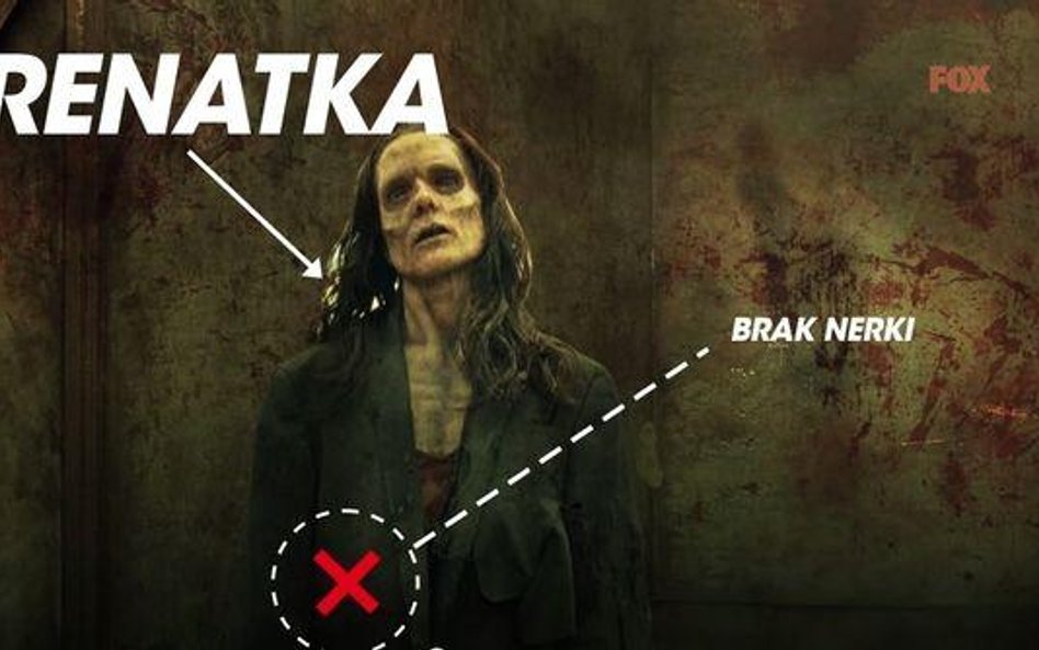 Zombie promują transplantologię