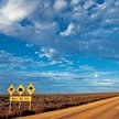 Kawałek Australii, o powierzchni Irlandii, trafi w prywatne ręce