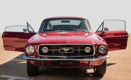 Ford Mustang. Frajda w dobrej cenie
