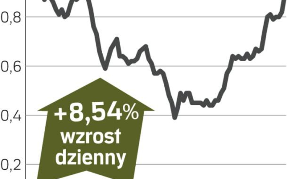 BORYSZEW – spółka, o której się mówi w Warszawie