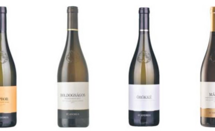 St. Andrea Napbor 2019 30 zł St. Andrea Boldogsagos 2019 43 zł St. Andrea Orokke 2018 60 zł St. Andr