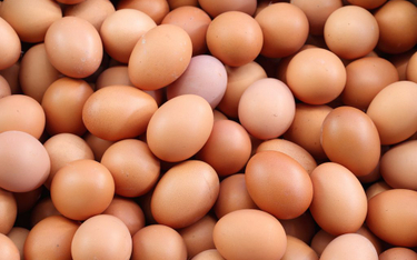 Pjongczang: Norweska reprezentacja zamówiła 15 tys. jajek